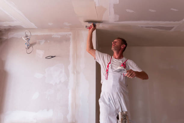 Best Acoustic or Soundproof Drywall Installation  in Owings, MD